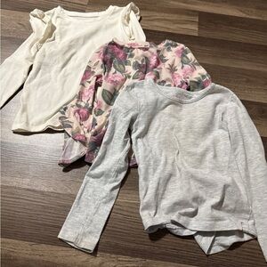 Isaac Mizrahi Gray and Floral Long Sleeve Tops